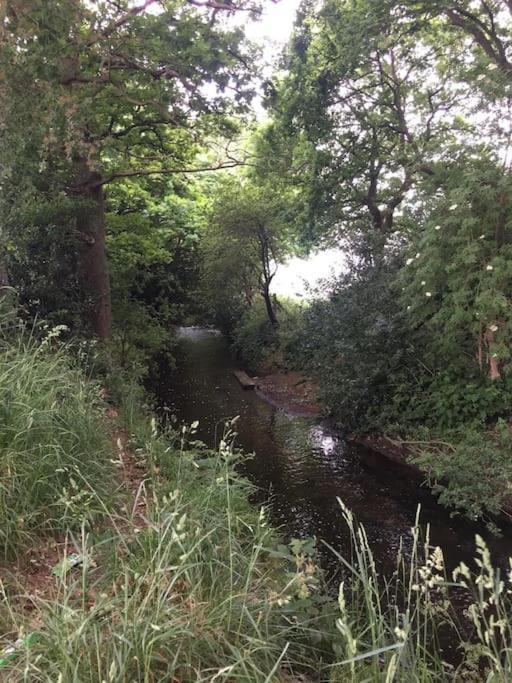 Pinewood #Edwinstowe Exterior foto
